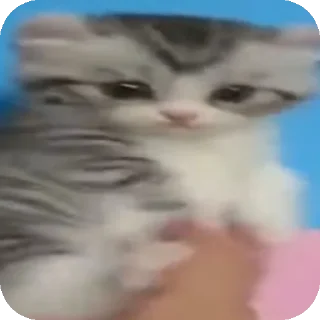 👍