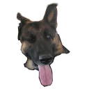 😜