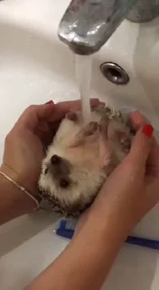 🚿