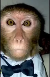 😐