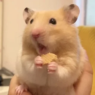 😯