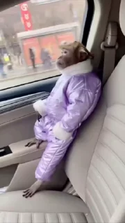 🙈