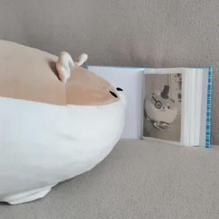 🖼