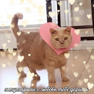 💝