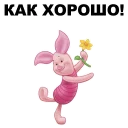🐷