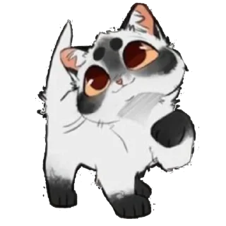 🐱