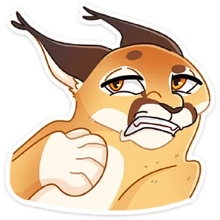 😼