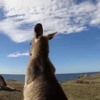 😁