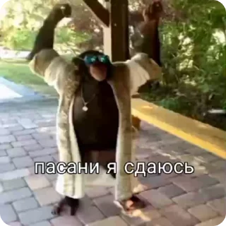 🏳️