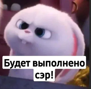 🫡
