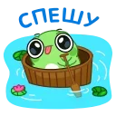 🛶
