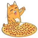 🐱