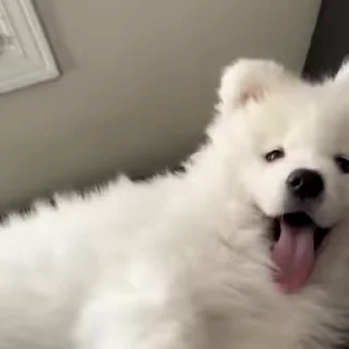 😌