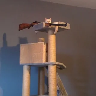 🔫