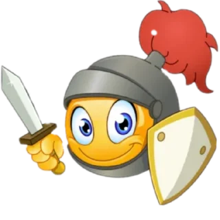 🛡