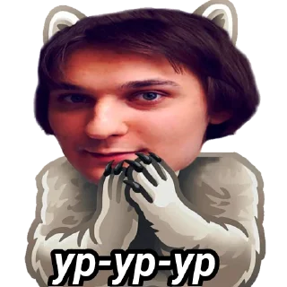 🦝