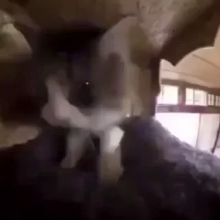 ☺️