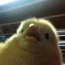 😨