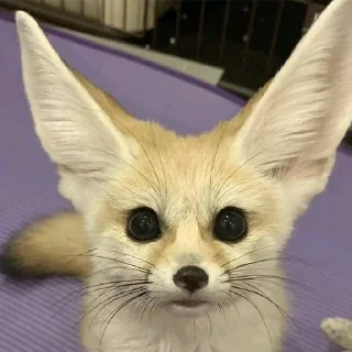 😐