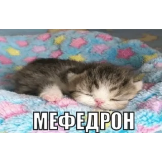 🛌