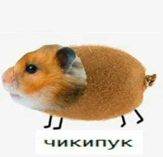 🥝