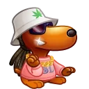 😎