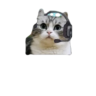 🫥