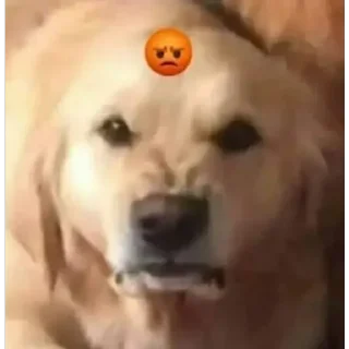 😡