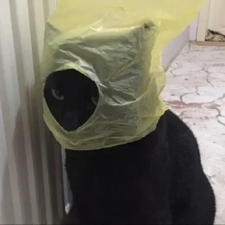 🛍
