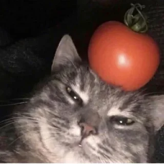 🍅