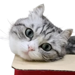 📦