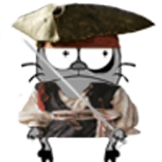 🏴‍☠️