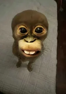 😅