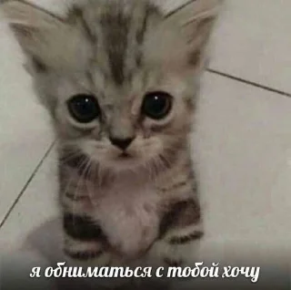 🥺