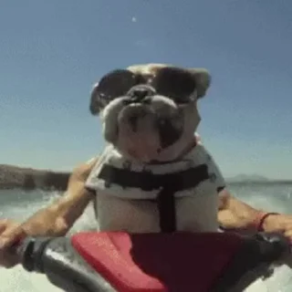😱