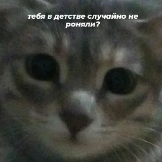 🗿
