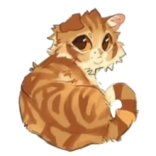 🐱