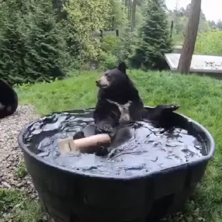 🤩