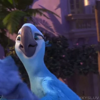 🦜