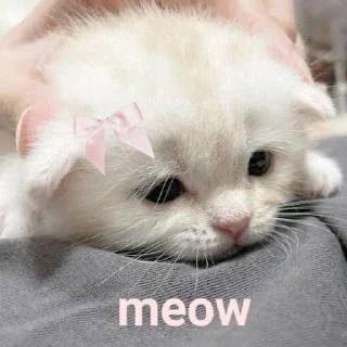 ☺️