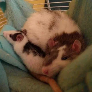 ❤️