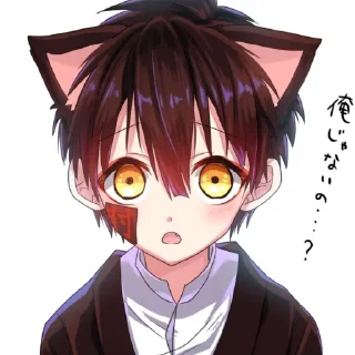🐈