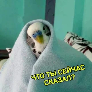 🤨