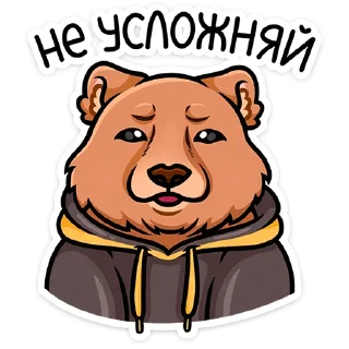 🐻