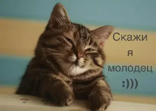😊
