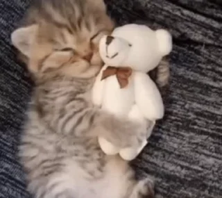 😴