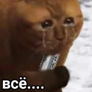 😭