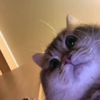 😅