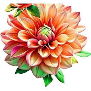🌸