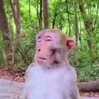 😌